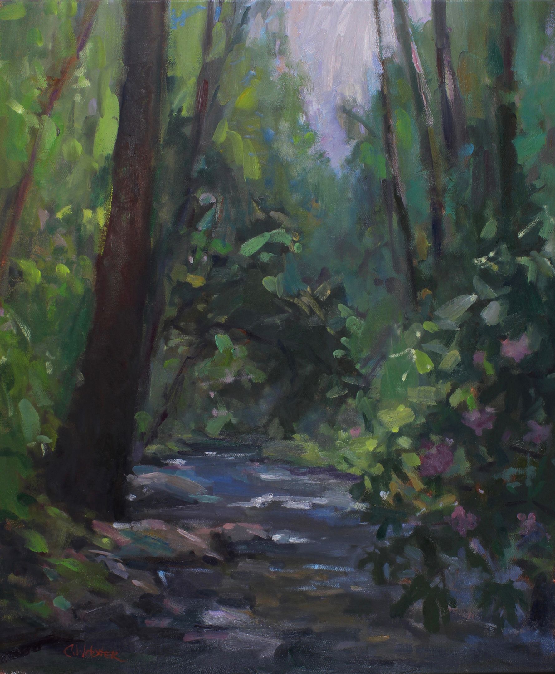 Creek with Rhododendrons Creek with Rhododendrons